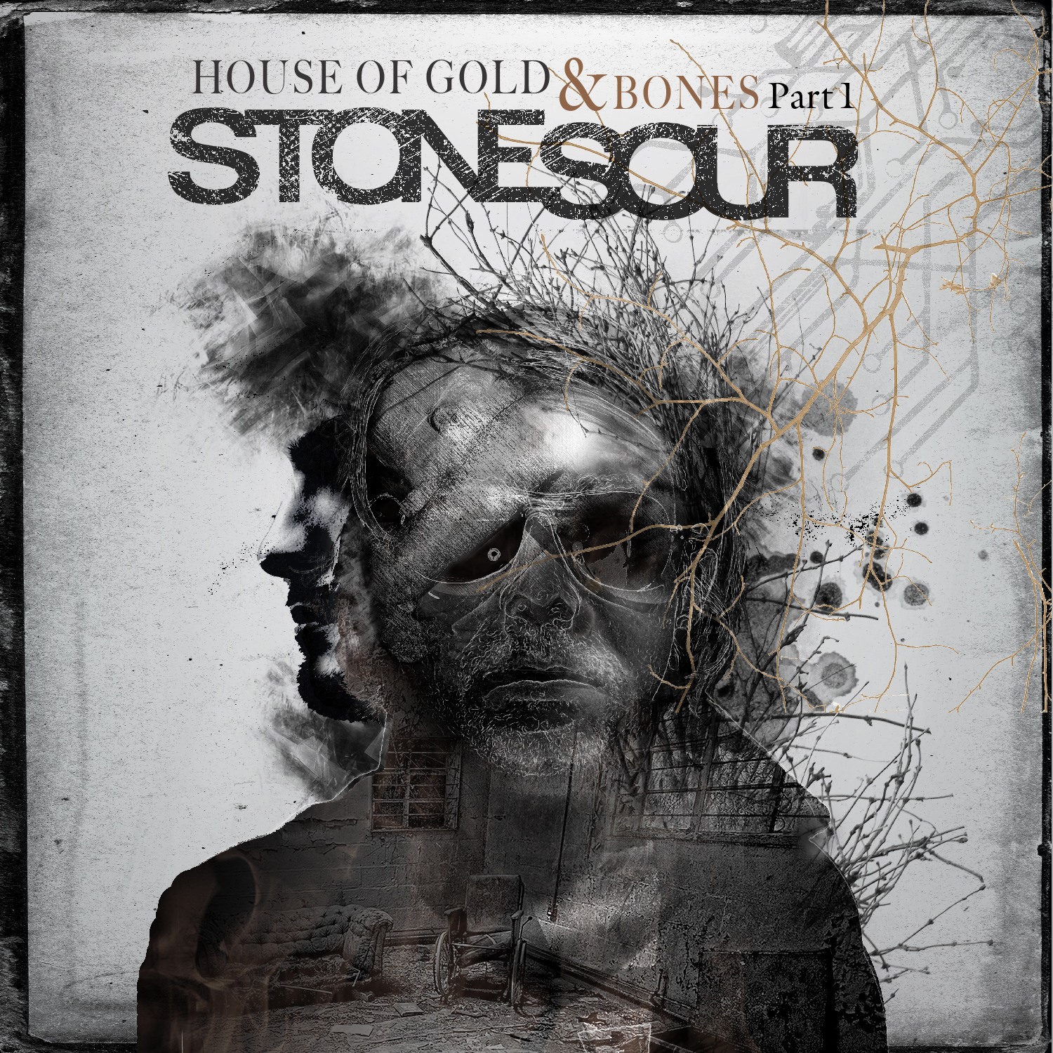 Stone Sour - House of Gold & Bones Part 1 (2012) Album Info
