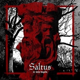 Saltus - W imi&#281; bog&#243;w (2015) Album Info