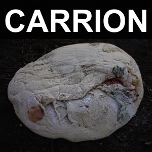 Recitation - Carrion (2015) Album Info