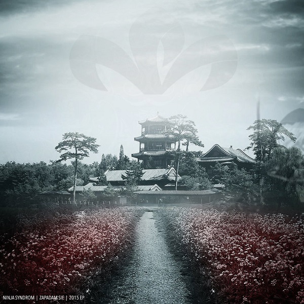 Ninja Syndrom - Zapadam si&#281; (2015) Album Info