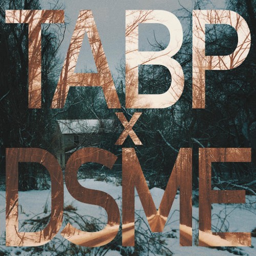 Tabp X Dsme - The World Is A Colder Place Now (2016) Album Info
