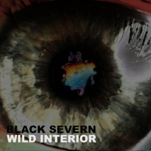 Black Severn - Wild Interior (2017) Album Info
