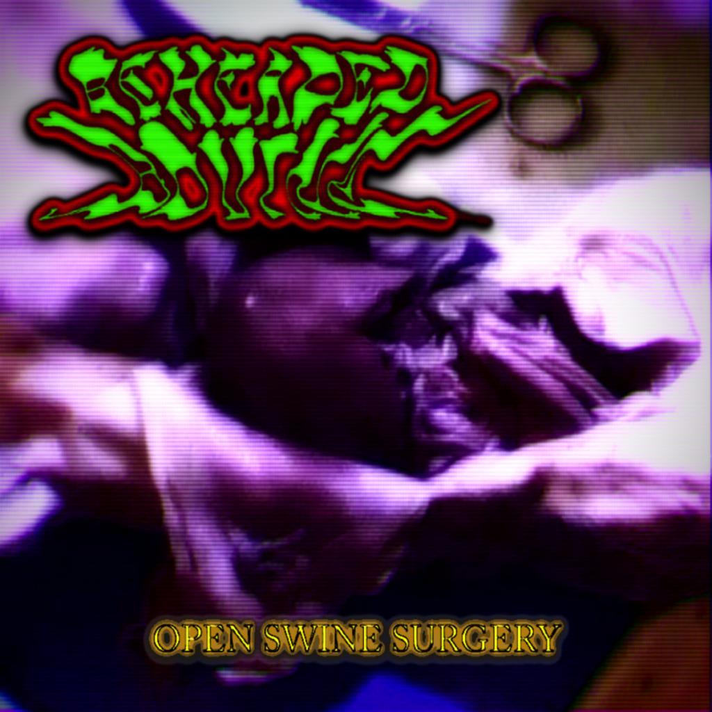 Beheaded Bovine - Open Swine Surgery (2017) Album Info