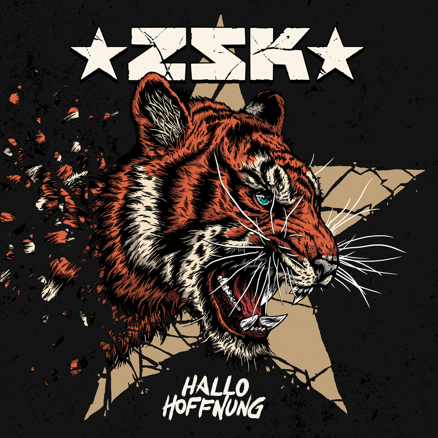 ZSK - Hallo Hoffnung (2018) Album Info