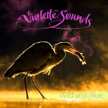 Violette Sounds - Wild And Blue (2018) Album Info