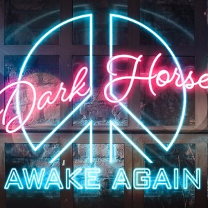 Awake Again - Dark Horse [Katy Perry cover] (single) (2018)