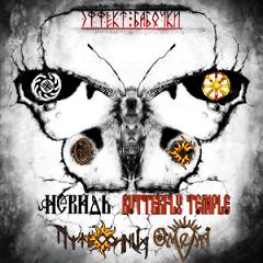 Butterfly Temple /  /   /  -   (2009) Album Info