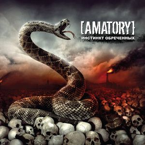 [Amatory]    (2010) Album Info