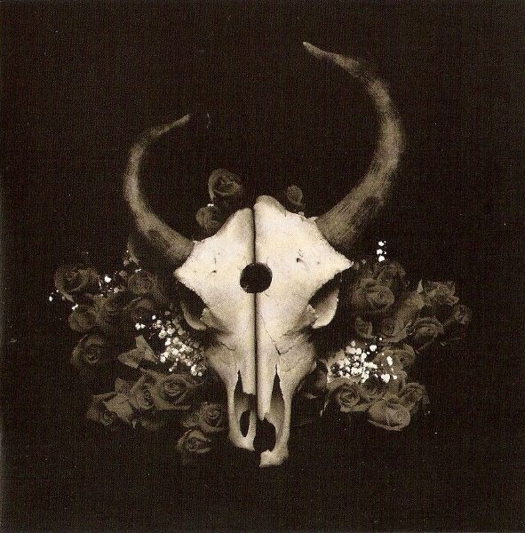 Demon Hunter  Summer Of Darkness (2004) Album Info