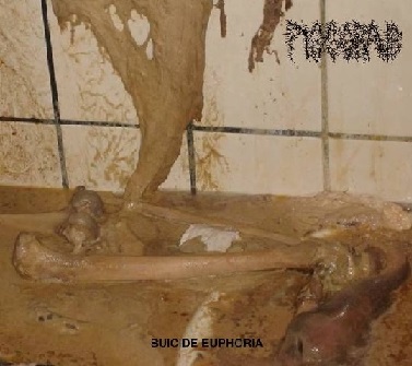 Pissgrave - Suicide Euphoria (2015) Album Info
