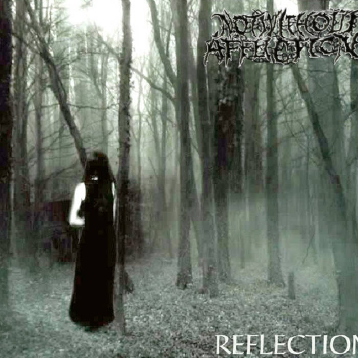 Not Without Affliction - Reflections (2015) Album Info