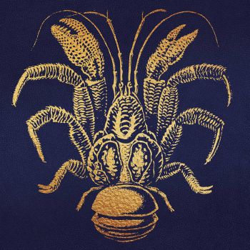The Scaramanga Six - The Terrifying Dream (2015) Album Info