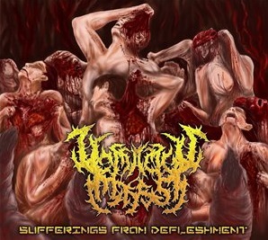 Vomitous Mass - Sufferings From Defleshment (2015) Album Info