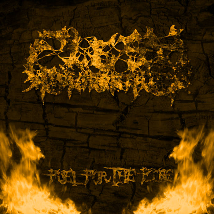 Flesh Incineration - Fuel For The Fire (2015) Album Info