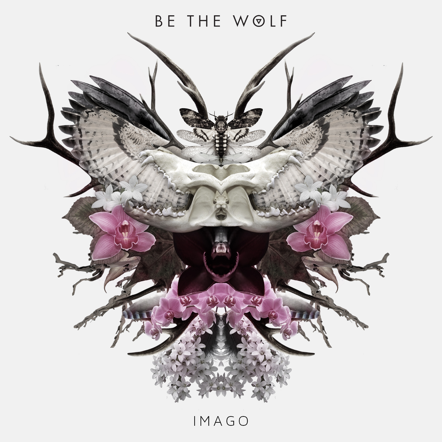 Be The Wolf - Imago (2015) Album Info