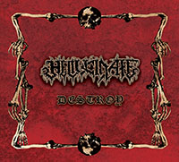 Hellucinate - Destroy (2015) Album Info