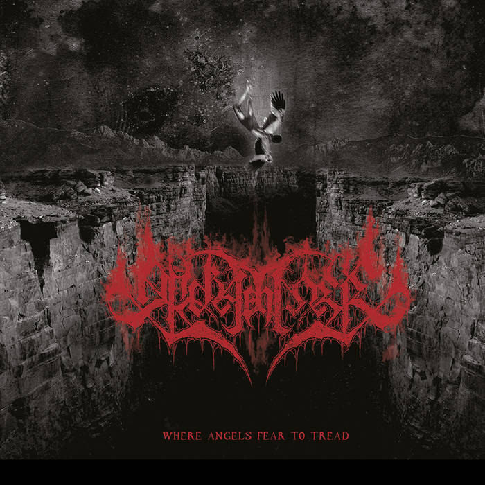 Apokathilosis - Where Angels Fear To Tread (2015) Album Info