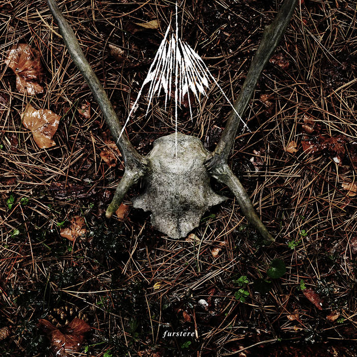 Asarhaddon - Furstere (2015) Album Info