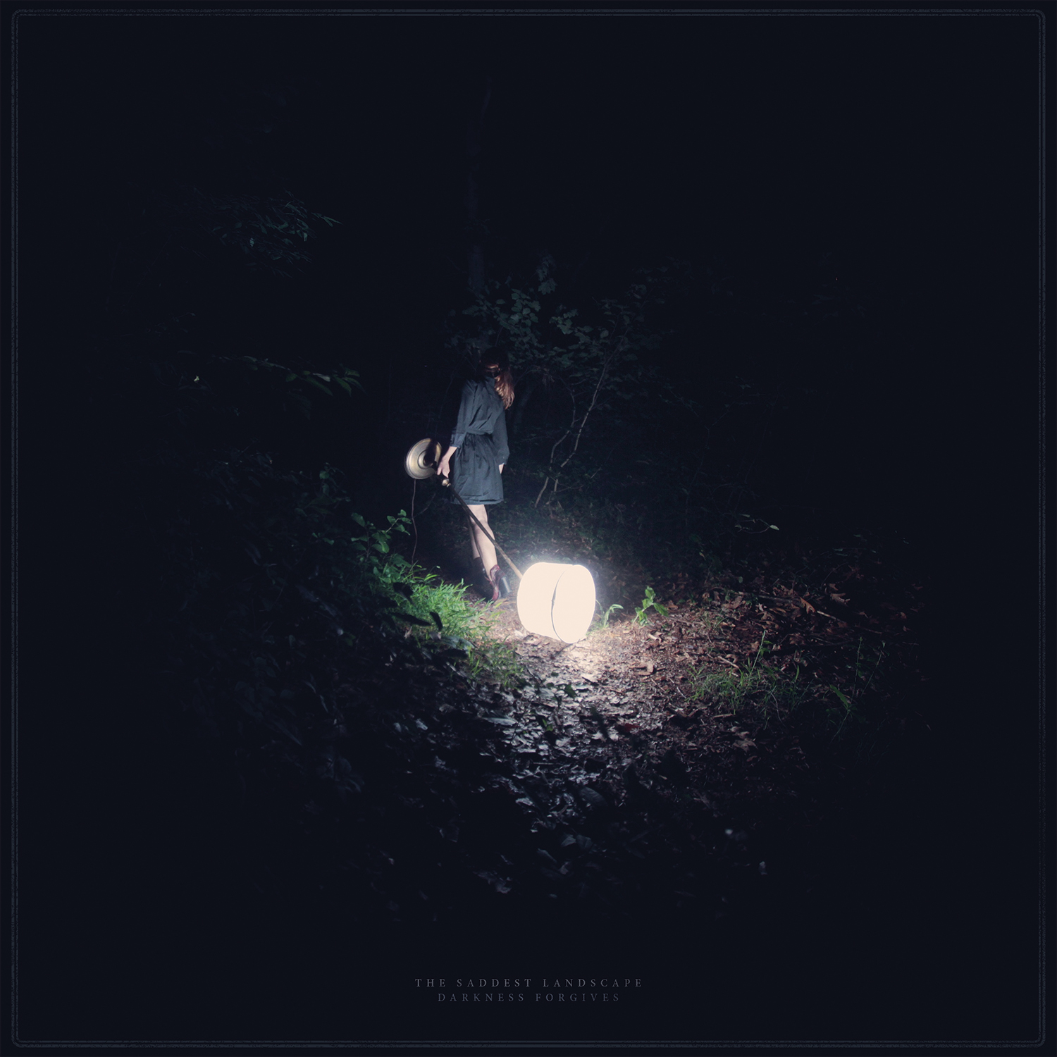 The Saddest Landscape - Darkness Forgives (2015) Album Info