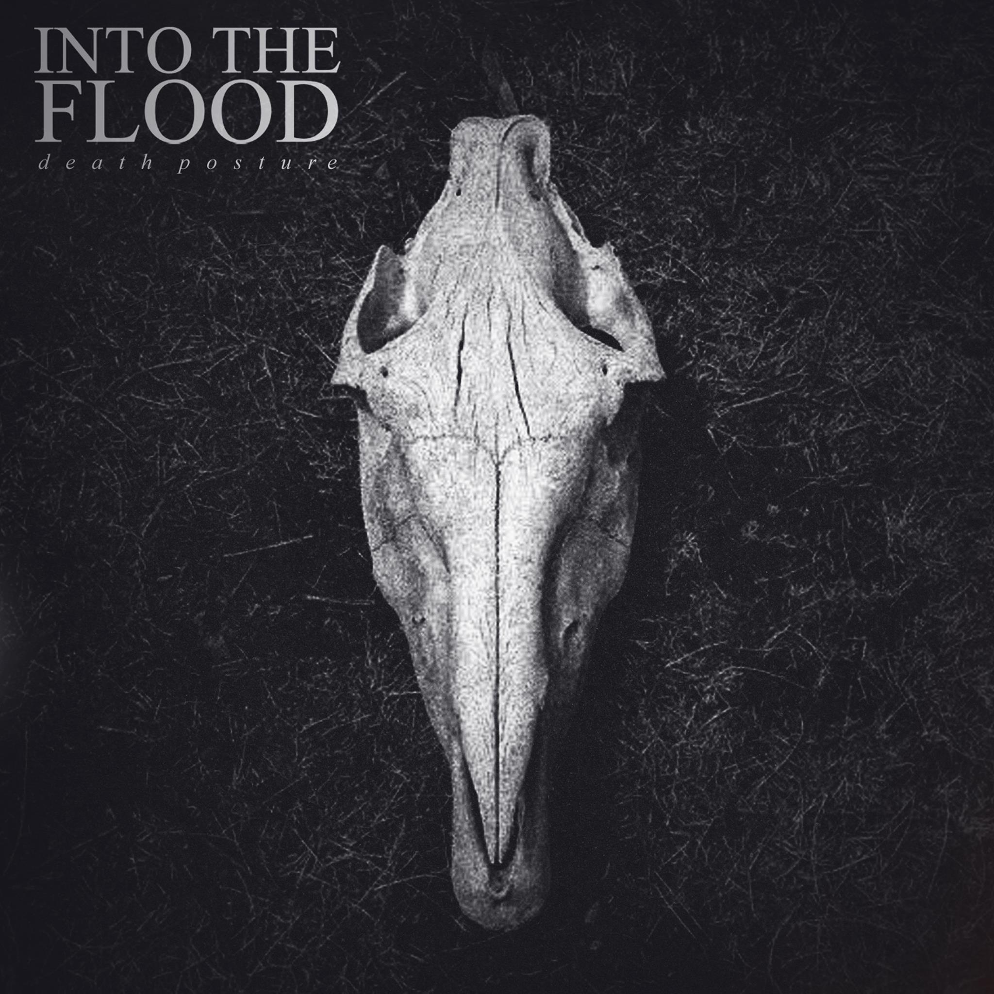 Into The Flood - The Glass House My Father Built (2015) Album Info
