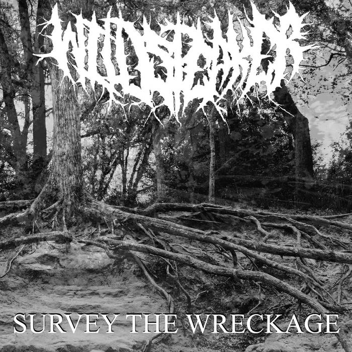 Wildspeaker - Survey The Wreckage (2015) Album Info