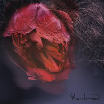 Panjabys - Randomood (2015)