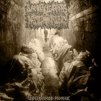 Swarming Vulgar Mass Of Infected Virulency - Underground Morgue (2015)