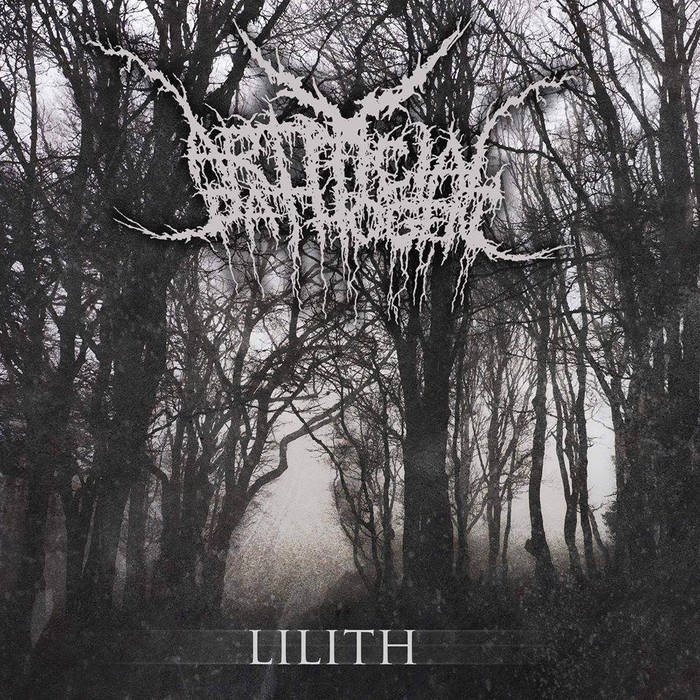 Artificial Pathogen - Lilith (EP) (2015) Album Info