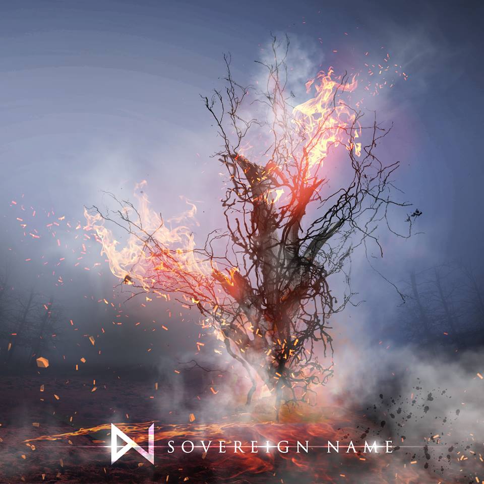 Whitenoiz - Sovereign Name (2015) Album Info