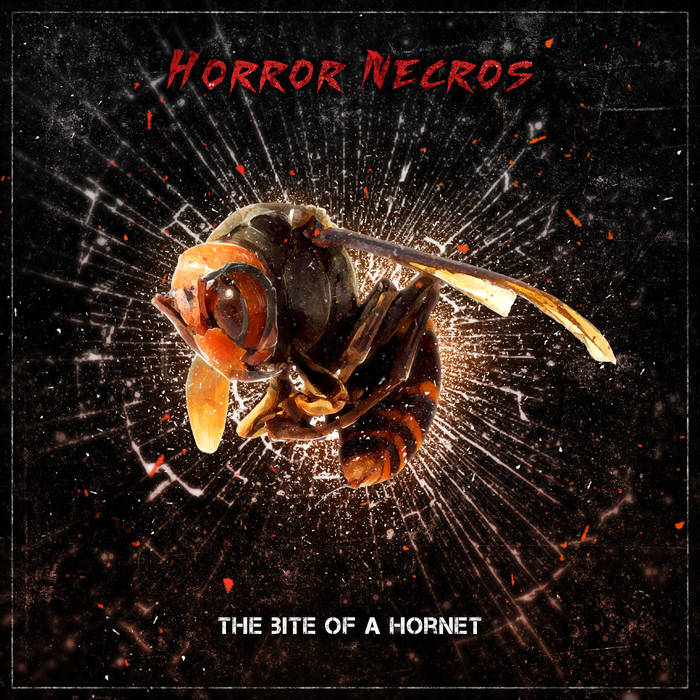 Horror Necros - The Bite Of A Hornet (2015)