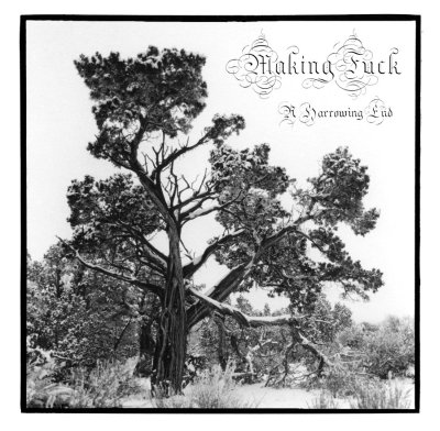 MakingFuck - A Harrowing End (2016) Album Info
