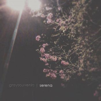 Gray Souvenirs - Serena (2016) Album Info