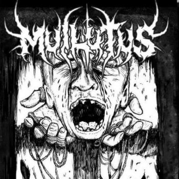 Muilutus - Nostrum Patria Est Nihil (2016) Album Info