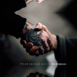 Polar - No Cure No Saviour (2016) Album Info