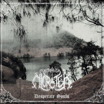 Nicrotek - Desperate Souls (2016) Album Info