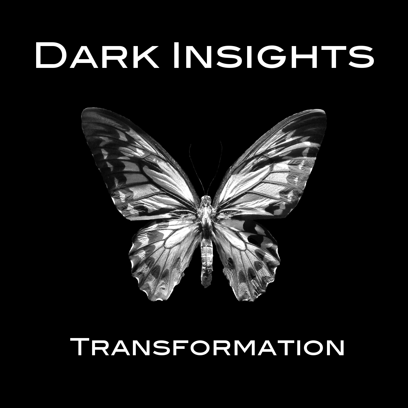 Dark Insight - Transformation (2016) Album Info