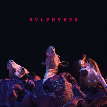 Svlphvrvs - The Surfeit (2016) Album Info