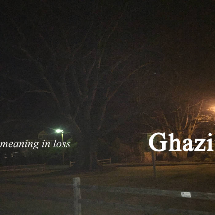 Ghazi - Meaning in Loss (2016) Album Info