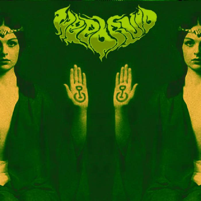 Weedruid - Into the Acid Swamp (2016) Album Info