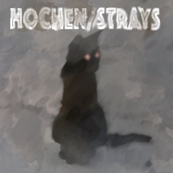 Hochen - Strays (2016) Album Info