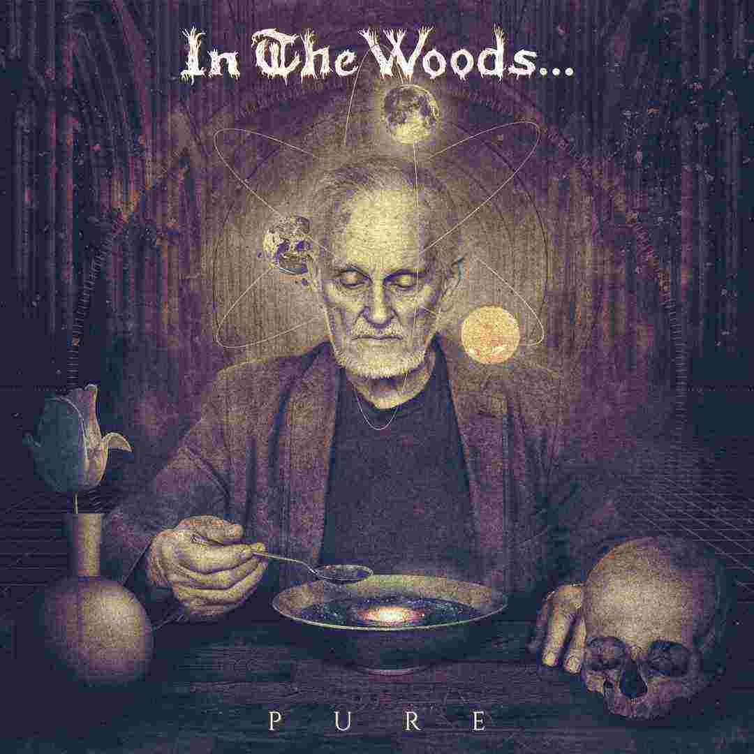 In the Woods... - Pure (2016) Album Info