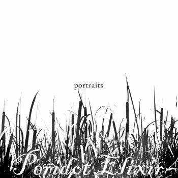 Peridot Elixir - Portraits (2016) Album Info