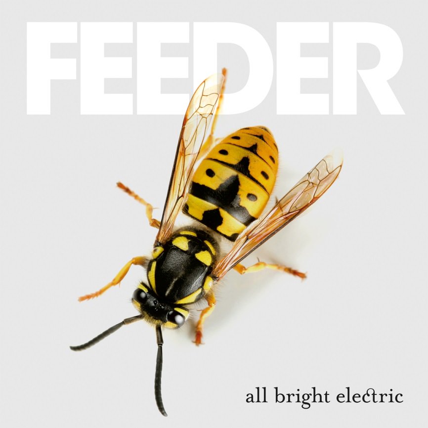 Feeder - All Bright Electric (2016) Album Info