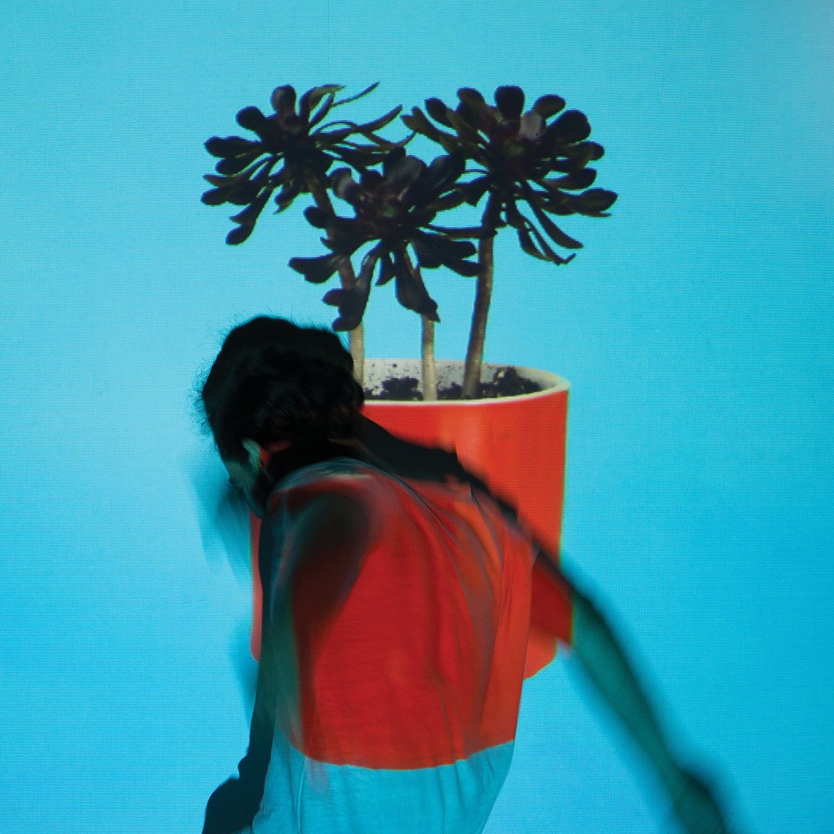 Local Natives - Sunlit Youth (2016) Album Info