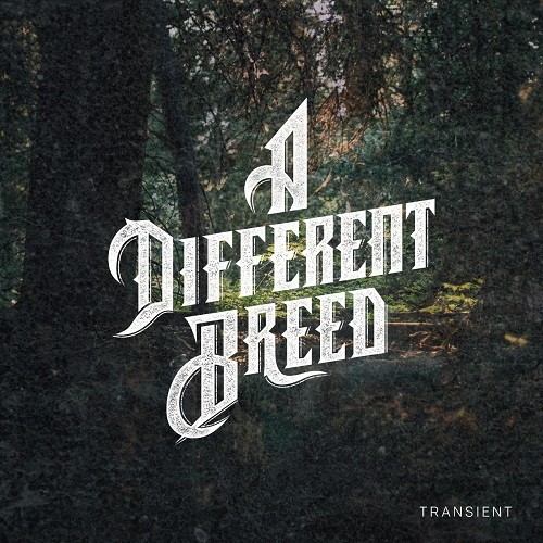 A Different Breed - Transient (2016) Album Info