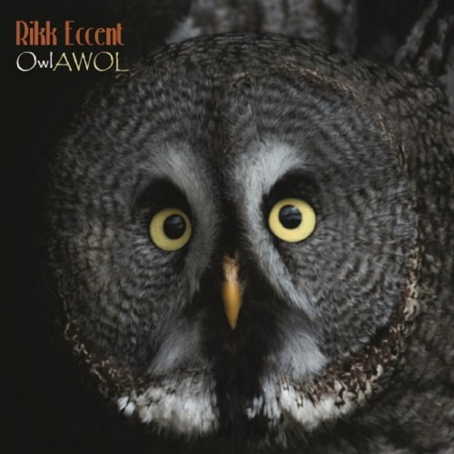 Rikk Accent - Owlawol (2016) Album Info