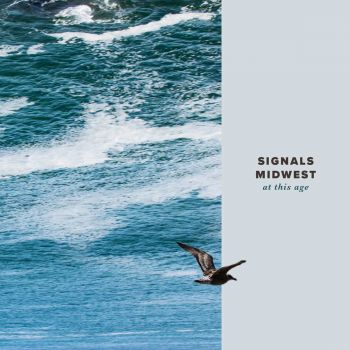 Signals Midwest - At This Age (2016) Album Info