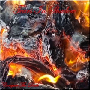 Tears In Shadow - Conquer The Dark (2016) Album Info