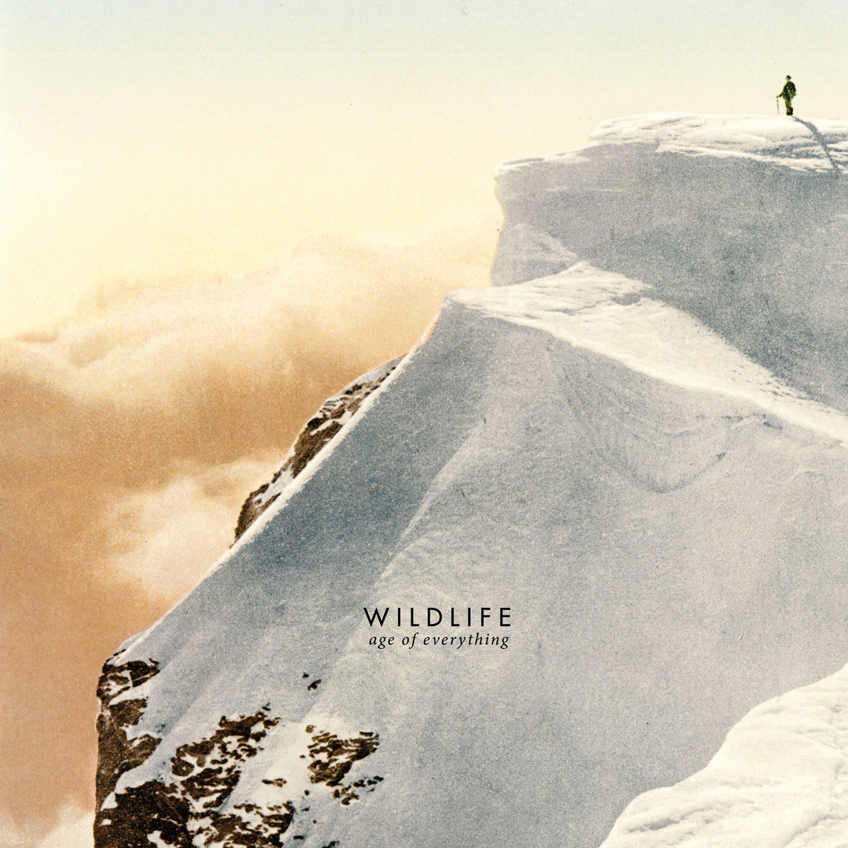 Wildlife - Age Of Everything (2016) Album Info