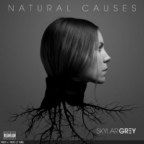 Skylar Grey - Natural Causes (2016) Album Info